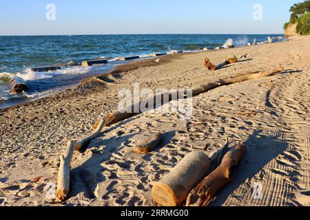 La plage de sable avec bois flotté au Clifton Beach Club à Lakewood, Ohio Banque D'Images