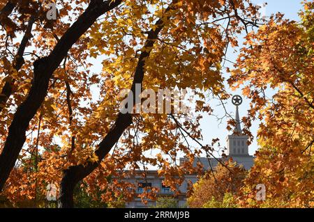 221101 -- BEIJING, le 1 novembre 2022 -- cette photo prise le 1 novembre 2022 montre le paysage automnal près du Musée militaire de la révolution du peuple chinois à Beijing, capitale de la Chine. CHINE-PÉKIN-AUTOMNE-PAYSAGE CN LuoxXiaoguang PUBLICATIONxNOTxINxCHN Banque D'Images