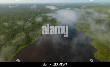 Les lacs amazoniens se trouvent dans de nombreux endroits, ils abritent une diversité de faune qui est utilisée par les résidents à proximité. Banque D'Images