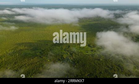 Les lacs amazoniens se trouvent dans de nombreux endroits, ils abritent une diversité de faune qui est utilisée par les résidents à proximité. Banque D'Images