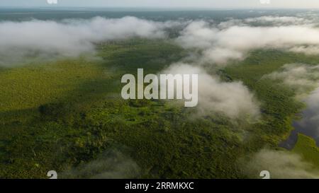 Les lacs amazoniens se trouvent dans de nombreux endroits, ils abritent une diversité de faune qui est utilisée par les résidents à proximité. Banque D'Images