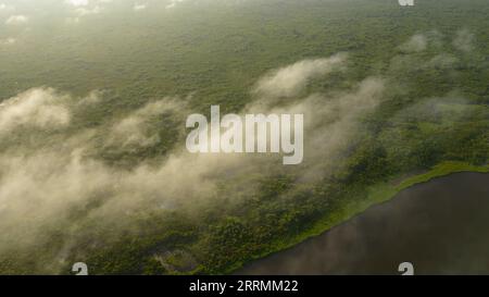 Les lacs amazoniens se trouvent dans de nombreux endroits, ils abritent une diversité de faune qui est utilisée par les résidents à proximité. Banque D'Images