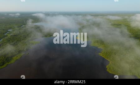 Les lacs amazoniens se trouvent dans de nombreux endroits, ils abritent une diversité de faune qui est utilisée par les résidents à proximité. Banque D'Images