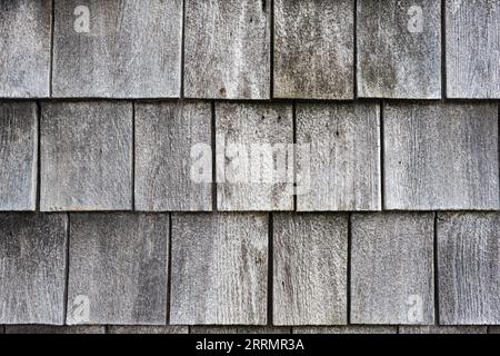 Fond texturé en bois patiné avec des motifs complexes, idéal pour les sites Web ou d'autres publications. Banque D'Images