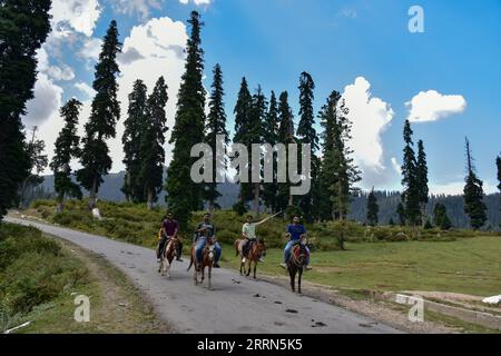 8 septembre 2023, Bota Pathri, Jammu-et-Cachemire, Inde : les touristes indiens apprécient la balade à cheval à Bota Pathri, une destination touristique à environ 70 km de Srinagar, la capitale estivale du Jammu-et-Cachemire. (Image de crédit : © Saqib Majeed/SOPA Images via ZUMA Press Wire) USAGE ÉDITORIAL UNIQUEMENT! Non destiné à UN USAGE commercial ! Banque D'Images