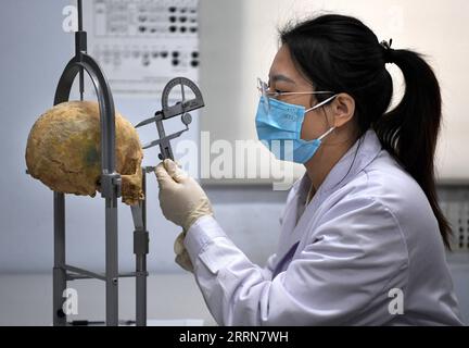 221220 -- ZHENGZHOU, 20 décembre 2022 -- Li Yanzhen meaure un crâne humain à l'Institut des reliques culturelles et d'archéologie du Henan à Zhengzhou, dans la province du Henan centrale de la Chine, 30 novembre 2022. Dans un bureau rempli d'outils de mesure et de spécimens de squelette à l'Institut des reliques culturelles et d'archéologie du Henan, Li Yanzhen, une fille post-90s, mesure et analyse soigneusement un os humain ancien, et spécule sur la taille et l'état nutritionnel du propriétaire de l'os. Li, qui s'est spécialisé en archéologie, maintenant étudiant en anthropologie physique. Li peut extraire des informations historiques cachées de restes humains anciens, tels que phy Banque D'Images