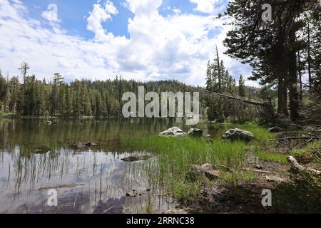 Photo de Big Bear Lake à Eureka Plumas Forest, Californie Banque D'Images