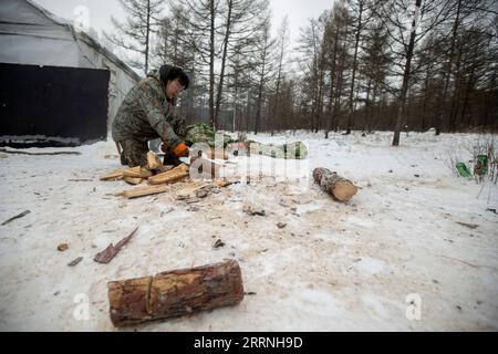 230113 -- GENHE, 13 janvier 2023 -- Juele arrache du bois de chauffage dans un poste temporaire de troupeau dans la chaîne forestière de Jinhe près de Genhe City, dans la région autonome de Mongolie intérieure du nord de la Chine, 12 janvier 2023. Tous les deux ou trois jours, Juele Bulituotian se dirigera vers la chaîne forestière de Jinhe, à environ 80 kilomètres de Genhe City. C'est là que le berger d'Aoluguya Ewenki, âgé de 39 ans, portant un manteau de fourrure traditionnel, trouvera son renne de recherche de nourriture. Au lieu de garder des rennes dans une grange, les éleveurs Ewenki laissent les animaux vivre dans la forêt et les surveillent tous les deux jours. Juele possède plus de 60 rennes. Il appellera Banque D'Images