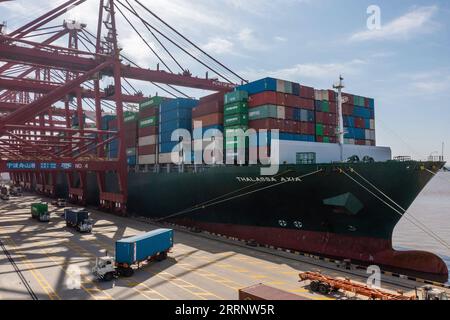 230201 -- NINGBO, le 1 février 2023 -- cette photo aérienne prise le 31 janvier 2023 montre un cargo déchargeant des conteneurs au terminal à conteneurs de Dapukou du port de Ningbo Zhoushan dans la province du Zhejiang de l est de la Chine. Le port le plus fréquenté de la Chine, le port de Ningbo Zhoushan, dans la province orientale du Zhejiang, a vu son débit de fret dépasser 1,25 milliards de tonnes en 2022, se classant au premier rang mondial pour une 14e année consécutive, selon le port. Le débit de conteneurs du port a atteint 33,35 millions d'équivalents vingt pieds EVP l'an dernier, se classant au troisième rang mondial. CHINE-ZHEJIANG-NINGBO-ZHOUSHAN-PORT-CARGOCN XUXYU PUB Banque D'Images