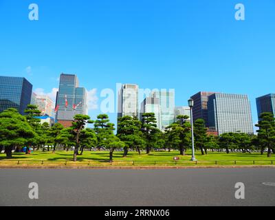 Tokyo, City Trip dans la capitale du Japon Banque D'Images