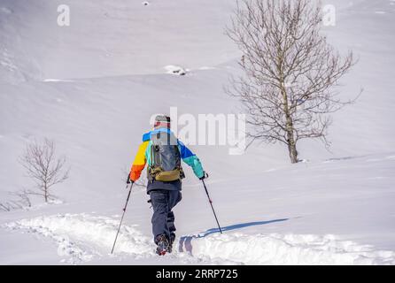 230226 -- URUMQI, 26 février 2023 -- Peng Chao fait des randonnées à Altay, dans la région autonome ouïgoure du Xinjiang, au nord-ouest de la Chine, le 26 janvier 2023. Grâce à ses conditions de neige de haute qualité, le Xinjiang, dans le nord-ouest de la Chine, a construit un certain nombre de stations de ski de haut niveau et est devenu un nouveau haut lieu pour les sports d'hiver. La saison des neiges à Altay, située dans la partie la plus septentrionale du Xinjiang, peut durer jusqu’à sept mois, ce qui en fait un paradis pour les amateurs de sports d’hiver. Au début de la saison des neiges en 2021, le skieur Peng Chao basé à Pékin louait une cabine dans le village de Hemu dans la montagne Altay comme poste de travail FO Banque D'Images