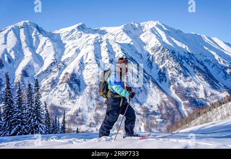 230226 -- URUMQI, 26 février 2023 -- Peng Chao fait des randonnées à Altay, dans la région autonome ouïgoure du Xinjiang, au nord-ouest de la Chine, le 26 janvier 2023. Grâce à ses conditions de neige de haute qualité, le Xinjiang, dans le nord-ouest de la Chine, a construit un certain nombre de stations de ski de haut niveau et est devenu un nouveau haut lieu pour les sports d'hiver. La saison des neiges à Altay, située dans la partie la plus septentrionale du Xinjiang, peut durer jusqu’à sept mois, ce qui en fait un paradis pour les amateurs de sports d’hiver. Au début de la saison des neiges en 2021, le skieur Peng Chao basé à Pékin louait une cabine dans le village de Hemu dans la montagne Altay comme poste de travail FO Banque D'Images