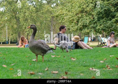 Londres, Royaume-Uni. 8 septembre 2023. Visiteurs à St James's Park lors d'une canicule automnale inattendue alors que les records sont battus avec quatre jours consécutifs dépassant 30 degrés celsius. Crédit : Photographie de onzième heure / Alamy Live News Banque D'Images