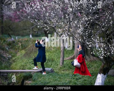 230302 -- HANGZHOU, le 2 mars 2023 -- les visiteurs prennent des photos au jardin botanique de Hangzhou à Hangzhou, dans la province du Zhejiang de l'est de la Chine, le 28 février 2023. ZhejiangPictorialCHINA-ZHEJIANG-SPRING-SCENERY CN JiangxHan PUBLICATIONxNOTxINxCHN Banque D'Images