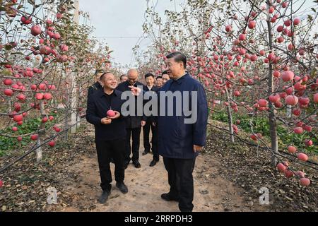 230314 -- PÉKIN, le 14 mars 2023 -- Xi Jinping discute avec un villageois dans un verger du village de Nangou à Yan an, dans le nord-ouest de la Chine, province du Shaanxi, le 26 octobre 2022. POUR ALLER AVEC profil : avec mandat populaire, Xi Jinping est le fer de lance d'une nouvelle dynamique pour moderniser la Chine profil : avec mandat populaire, Xi Jinping est le fer de lance d'une nouvelle dynamique pour moderniser la Chine YanxYan PUBLICATIONxNOTxINxCHN Banque D'Images