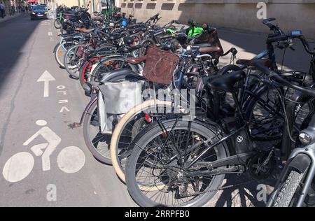 Paris, France. 08 septembre 2023. Les vélos sont garés sur une place de stationnement à côté d'une piste cyclable. Au cours des trois premiers mois de l’année, l’utilisation du vélo a augmenté de 37,3 % par rapport à la même période l’an dernier, selon la ville de Paris. (À dpa: "Les Parisiens se balancent plus souvent sur leurs vélos - la circulation automobile légèrement en baisse") crédit : Michael Evers/dpa/Alamy Live News Banque D'Images