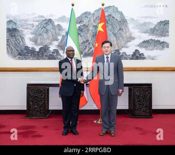 230323 -- BEIJING, le 23 mars 2023 -- le conseiller d'État chinois et ministre des Affaires étrangères, Qin Gang, rencontre son homologue équato-guinéen, Simeon Oyono Esono angue, à Beijing, capitale de la Chine, le 23 mars 2023. Zhai Jianlan CHINE-BEIJING-QIN GANG-GUINÉE ÉQUATORIALE-FM-MEETING CN DixJianlan PUBLICATIONxNOTxINxCHN Banque D'Images