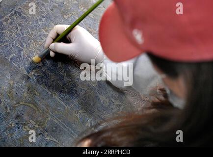 230325 -- LUOYANG, le 25 mars 2023 -- cette photo prise le 15 mars 2023 montre un membre du personnel qui nettoie un écran pliant en pierre d'un lit de pierre découvert dans un cimetière trouvé dans le village de Zhucang, dans le district de Mengjin de la ville de Luoyang, dans la province du Henan au centre de la Chine. Un cimetière composé de trois tombes a été récemment classé comme l'une des cinq découvertes archéologiques clés dans la province du Henan en 2022. Dans les tombes probablement construites entre la fin de la dynastie des Wei du Nord 386-534 et la dynastie des Wei de l'est 534-550, des lits de pierre à grande échelle et bien organisés avec des écrans pliants en pierre ont été trouvés. TH Banque D'Images