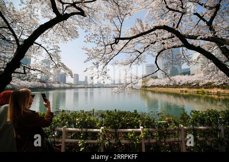 230330 -- SÉOUL, le 30 mars 2023 -- des touristes prennent des photos de cerisiers en fleurs au parc du lac Seokchon à Séoul, Corée du Sud, le 30 mars 2023. CORÉE DU SUD-SÉOUL-FLEURS DE CERISIER WangxYiliang PUBLICATIONxNOTxINxCHN Banque D'Images