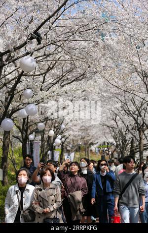 230330 -- SÉOUL, le 30 mars 2023 -- les touristes voient des cerisiers en fleurs et prennent des photos au parc du lac Seokchon à Séoul, Corée du Sud, le 30 mars 2023. CORÉE DU SUD-SÉOUL-FLEURS DE CERISIER WangxYiliang PUBLICATIONxNOTxINxCHN Banque D'Images