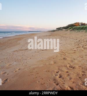 Empreintes de pas dans le sable de personnes et de chiens s'amusant sur une plage de sable le long des rives de Kawana, Caloundra, Sunshine Coast, Queensland. Banque D'Images