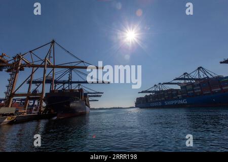 230424 -- ATHÈNES, le 24 avril 2023 -- les porte-conteneurs accostent aux terminaux à conteneurs II et III du port du Pirée, Grèce, le 16 février 2023. Plus de 13 ans de coopération gagnant-gagnant entre COSCO Shipping de la Chine et le plus grand port de Grèce, le Pirée, se sont avérés être un cas exemplaire de développement commun, ont déclaré les cadres supérieurs et les employés du projet d'investissement historique. POUR ALLER AVEC World Insights : la coopération sino-grecque au port du Pirée présente un développement commun GRÈCE-PIRÉE PORT-COOPÉRATION SINO-GRECQUE MariosxLolos PUBLICATIONxNOTxINxCHN Banque D'Images