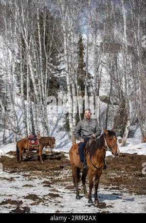 230427 -- HEMU, le 27 avril 2023 -- Suka retourne dans une ferme équestre dans le village de Hemu de Kanas, dans la région autonome ouïgour du Xinjiang, au nord-ouest de la Chine, le 30 mars 2023. Hemu Village est situé à Kanas point pittoresque le long du point de départ de la route nationale G219. Suka, secrétaire du parti du village, conduit les habitants sur le chemin de la revitalisation rurale. Rejoindre l'équipe de chevaux est une source importante de revenus pour les villageois. Chaque membre peut emmener deux chevaux à l'équipe pour fournir des services aux touristes. À l'heure actuelle, 68 des membres de l'équipe ont haussé les épaules de la pauvreté, et leur revenu annuel est de Banque D'Images