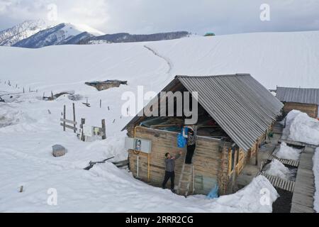 230427 -- HEMU, le 27 avril 2023 -- cette photo aérienne prise le 30 mars 2023 montre Suka L aidant un villageois à trier les fouillis à la maison dans le village de Hemu de Kanas, dans le nord-ouest de la Chine, dans la région autonome ouygur du Xinjiang. Hemu Village est situé à Kanas point pittoresque le long du point de départ de la route nationale G219. Suka, secrétaire du parti du village, conduit les habitants sur le chemin de la revitalisation rurale. Rejoindre l'équipe de chevaux est une source importante de revenus pour les villageois. Chaque membre peut emmener deux chevaux à l'équipe pour fournir des services aux touristes. Actuellement, 68 du membre de l'équipe Banque D'Images