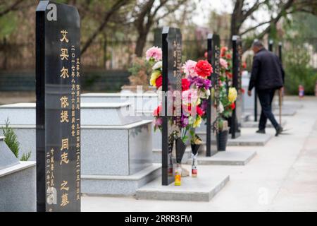 230430 -- YECHENG, le 30 avril 2023 -- Eniwar Emer vérifie la croissance des semis d'arbres dans le cimetière des martyrs de Yecheng à Yecheng, dans la région autonome ouïgour du Xinjiang, au nord-ouest de la Chine, le 16 avril 2023. Chaque année en avril, des fleurs fleurissent dans le cimetière des martyrs de Yecheng, dans la région autonome ouïgoure du Xinjiang, au nord-ouest de la Chine, où 233 martyrs ont été enterrés. Je prendrai bien soin du cimetière, a déclaré Eniwar Emer, 53 ans, devant la pierre tombale de son père. Eniwar est un gardien de deuxième génération du cimetière des martyrs de Yecheng, suivant les traces de son père Emer Yit, qui avait entretenu les tombes là-bas Banque D'Images