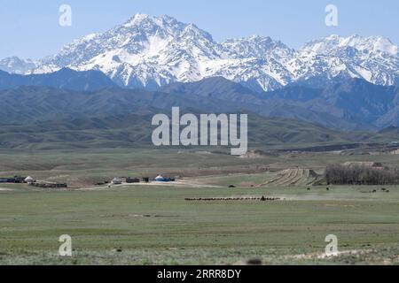 230514 -- KUYTUN, le 14 mai 2023 -- cette photo prise le 10 mai 2023 montre un pâturage près de l'autoroute Dushanzi-Kuqa, dans la région autonome ouïgoure du Xinjiang, au nord-ouest de la Chine. L autoroute Dushanzi-Kuqa, qui traverse la montagne Tianshan, est considérée comme l une des plus belles routes de Chine. En raison de la neige et du givrage de la route, la route a une période d'hibernation , qui commence généralement en octobre et se termine en juin de l'année suivante. La maintenance est en cours pendant son hibernation annuelle. CHINA-XINJIANG-DUSHANZI-KUQA HIGHWAY-SCENERY CN HUXHUHU PUBLICATIONXNOTXINXCHN Banque D'Images
