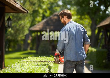 Jardinier barbu en tenue denim coupant des buis envahis par un taille-haie le jour. Vue arrière de l'homme focalisé taillant la haie avec l'équipement moderne à l'arrière-cour. Concept de travail saisonnier. Banque D'Images