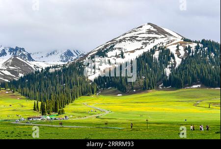 230602 -- URUMQI, le 2 juin 2023 -- des touristes visitent la région pittoresque de Narat dans le comté de Xinyuan, dans la région autonome ouïgoure du Xinjiang, au nord-ouest de la Chine, le 19 mai 2023. Selon un calcul complet réalisé à travers une plateforme de données volumineuses pour les statistiques du tourisme et une enquête par sondage, de janvier à avril 2023, le Xinjiang a accueilli plus de 51,19 millions de touristes, soit une augmentation annuelle de 29,56%. Pendant ce temps, les revenus du tourisme ont atteint 42,64 milliards de yuans environ 6,03 milliards de dollars américains, en hausse de 60,59% d'une année sur l'autre. CHINE-XINJIANG-TOURISME CN WangxFei PUBLICATIONxNOTxINxCHN Banque D'Images