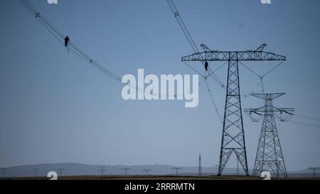 230604 -- GOLMUD, le 4 juin 2023 -- des travailleurs procèdent à une inspection de l'acheminement des lignes de transport d'électricité dans le canton de Tanggulashan, dans la ville de Golmud, dans la préfecture autonome mongol-tibétaine de Haixi, dans le nord-ouest de la Chine, dans la province de Qinghai, le 3 juin 2023. Depuis 2012, la State Grid s Qinghai Electricity Power Company procéderait à sa maintenance centralisée annuelle du projet d interconnexion du réseau Qinghai-Tibet, dont les lignes de réseau sont posées sur le plateau à une altitude moyenne de 4 500 mètres. Les basses températures, le manque d'oxygène et les vents forts sur le plateau remettent en question le fonctionnement et l'entretien du Th Banque D'Images