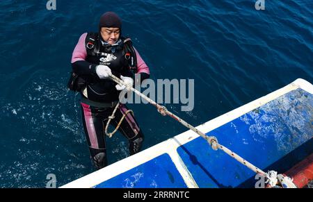 230607 -- SANYA, le 7 juin 2023 -- Wang Fengguo sort de l'eau après avoir travaillé dans un ranch marin dans la zone maritime de l'île de Wuzhizhou à Sanya, dans la province de Hainan du sud de la Chine, le 27 mars 2020. Wang Fengguo est membre du personnel de la station touristique de l'île de Wuzhizhou à Sanya, dont les principales responsabilités comprennent l'élimination des déchets marins et des prédateurs de coraux, l'installation de récifs artificiels et la transplantation de coraux, et l'aide aux recherches scientifiques au ranch marin dans la zone maritime de l'île de Wuzhizhou. En tant que travailleur de première ligne engagé dans la protection de l'environnement marin depuis plus de dix ans Banque D'Images