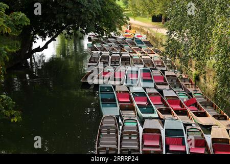 Barques traditionnelles en bois sur la rivière Cherwell près de Magdalen Bridge à Oxford, Royaume-Uni Banque D'Images