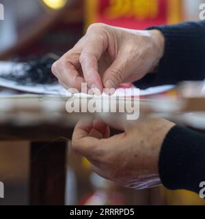 230609 -- CHONGQING, le 9 juin 2023 -- Kang Ning broie à son atelier dans le district de Yuzhong, dans la municipalité de Chongqing au sud-ouest de la Chine, le 12 mai 2023. Kang, qui a près de 70 ans, est l’un des deux héritiers représentatifs de la broderie Shu, un élément du patrimoine culturel immatériel national en Chine. Kang a commencé à apprendre les techniques de fabrication de la broderie Shu quand elle a commencé à travailler à l'âge de 23 ans. Elle a créé sa propre technique qui permet de coudre la broderie de différentes formes et couleurs des deux côtés simultanément, avec le contenu de chaque côté restant séparé et intact Banque D'Images