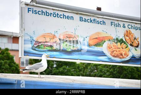 230610 -- BERLIN, le 10 juin 2023 -- Une mouette repose sur le toit d'un restaurant de restauration rapide à Stralsund, dans le nord-est de l'Allemagne, le 1 juin 2023. ALLEMAGNE-STRALSUND-VIEW RenxPengfei PUBLICATIONxNOTxINxCHN Banque D'Images