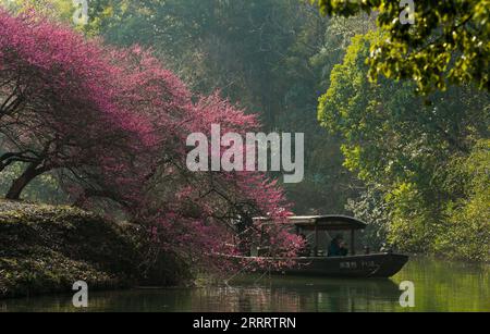 230614 -- HANGZHOU, le 14 juin 2023 -- les touristes profitent des fleurs en bateau dans la zone humide de Xixi à Hangzhou, province du Zhejiang dans l'est de la Chine, le 18 février 2023. Hangzhou avec son riche patrimoine culturel et sa beauté naturelle à couper le souffle s'est imposé comme une ville incontournable pour les amateurs de voyage. CHINE-ZHEJIANG-HANGZHOU-VILLE HONORÉE CN WENGXXINYANG PUBLICATIONXNOTXINXCHN Banque D'Images