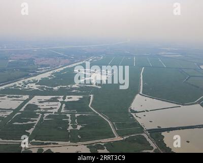 230625 -- TIANJIN, le 25 juin 2023 -- cette vue aérienne prise le 16 juin 2023 montre une zone humide dans la municipalité de Tianjin, dans le nord de la Chine. La 14e réunion annuelle des nouveaux champions, également connue sous le nom de Forum de Davos d’été, se tiendra à Tianjin du 27 au 29 juin. Environ 1 500 dirigeants des secteurs public et privé de plus de 90 pays se réuniront pour cet événement de trois jours. CHINE-TIANJIN-VUE AÉRIENNE CN SunxFanyue PUBLICATIONxNOTxINxCHN Banque D'Images