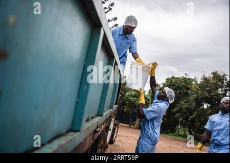 230630 -- KWALE, le 30 juin 2023 -- des travailleurs emmènent des anchois nouvellement capturés dans un camion à Kwale, au Kenya, le 22 juin 2023. Le premier lot de produits d'anchois sauvages en provenance du Kenya a fait ses débuts jeudi lors de la troisième édition de l'exposition économique et commerciale Chine-Afrique, marquant une nouvelle étape dans les efforts de la Chine pour promouvoir l'importation de produits alimentaires et agricoles africains de haute qualité, enrichir les choix des consommateurs domestiques et dynamiser les échanges entre la Chine et l’Afrique. Selon les statistiques douanières, les exportations agricoles africaines vers la Chine ont augmenté rapidement ces dernières années, et la Chine l’a fait maintenant Banque D'Images