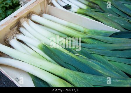 Poireaux frais dans un marché. Luchon, France Banque D'Images