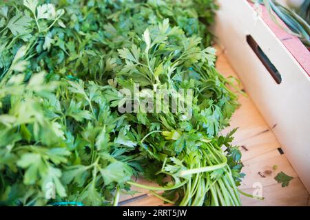 Bouquets de persil dans une boîte en bois. Marché en France Banque D'Images