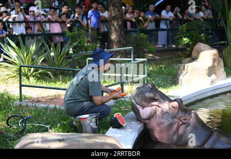 230713 -- GUANGZHOU, le 13 juillet 2023 -- Un éleveur nourrit un hippopopotame avec des carottes fraîches et de la pastèque au zoo de Guangzhou à Guangzhou, dans la province du Guangdong du sud de la Chine, le 13 juillet 2023. Le zoo a pris diverses mesures pour refroidir les animaux pendant la chaleur estivale à Guangzhou. CHINE-GUANGDONG-GUANGZHOU-ZOO-ANIMAUX-REFROIDISSEMENT OFFCN DENGXHUA PUBLICATIONXNOTXINXCHN Banque D'Images