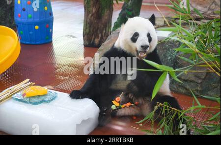 230713 -- GUANGZHOU, 13 juillet 2023 -- Un panda géant s'amuse dans une salle climatisée du zoo de Guangzhou à Guangzhou, dans la province du Guangdong du sud de la Chine, le 13 juillet 2023. Le zoo a pris diverses mesures pour refroidir les animaux pendant la chaleur estivale à Guangzhou. CHINE-GUANGDONG-GUANGZHOU-ZOO-ANIMAUX-REFROIDISSEMENT OFFCN DENGXHUA PUBLICATIONXNOTXINXCHN Banque D'Images