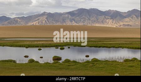 230717 -- MONTAGNES DE L'ALTUN, 17 juillet 2023 -- cette photo prise le 1 juillet 2023 montre une zone humide dans la Réserve naturelle nationale des montagnes de l'Altun, dans la région autonome ouïgoure du Xinjiang, au nord-ouest de la Chine. Avec une altitude moyenne de 4 580 mètres, la Réserve naturelle nationale des montagnes Altun couvre une superficie totale de 45 000 kilomètres carrés et est un représentant de l'écosystème désertique du plateau en Chine. SKYEYECHINA-XINJIANG-ALTUN MONTAGNES-RÉSERVE NATURELLE CN CAIXYANG PUBLICATIONXNOTXINXCHN Banque D'Images