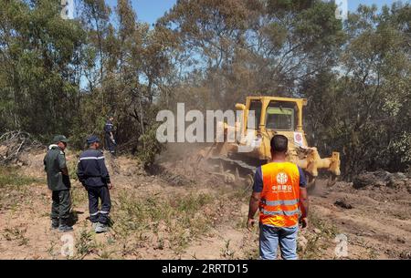 230717 -- El TARFALGERIA, le 17 juillet 2023 -- cette photo prise le 18 août 2022 montre le personnel de projet de CITIC Construction utilisant des machines de construction pour mettre en place une ceinture de prévention des incendies dans les forêts de la province d'El Tarf, en Algérie. POUR ALLER AVEC la caractéristique : un entrepreneur chinois brave la chaleur pour terminer le tronçon final du projet d autoroute algérienne photo fournie par CITIC Construction/document via Xinhua ALGERIA-El TARF-CHINESE COMPANY-EAST-WEST HIGHWAY CONSTRUCTION WuxTianyu PUBLICATIONxNOTxINxCHN Banque D'Images