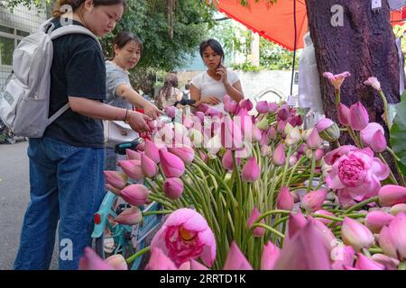 230715 -- CHENGDU, 15 juillet 2023 -- les gens choisissent des bourgeons de lotus dans un étal de fleurs à Chengdu, dans la province du Sichuan, dans le sud-ouest de la Chine, le 14 juillet 2023. Les 31e Jeux mondiaux universitaires d'été de la FISU auront lieu à Chengdu du 28 juillet au 8 août 2023. SPCHINA-CHENGDU-UNIVERSIADE-CITY CN TangxWenhao PUBLICATIONxNOTxINxCHN Banque D'Images