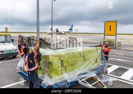 230719 -- CHONGQING, le 19 juillet 2023 -- des membres du personnel emballent des prunes croustillantes à l'aéroport de Wushan dans le sud-ouest de la Chine, Chongqing, le 28 juin 2023. Connue pour sa chair croustillante, juteuse et tendre, la prune croustillante est l'un des principaux fruits cultivés dans le comté de Wushan, jouant un rôle essentiel dans la revitalisation rurale. L'amélioration de la logistique et du service de livraison ont contribué aux ventes de fruits délicats à travers le pays. CHINE-CHONGQING-PRUNE CROUSTILLANTE CN HuangxWei PUBLICATIONxNOTxINxCHN Banque D'Images