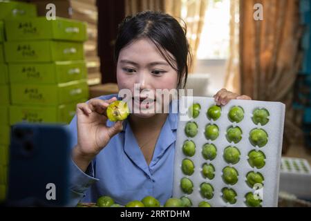 230719 -- CHONGQING, le 19 juillet 2023 -- Liu Jialing vend des prunes croustillantes par le biais d'un livestreaming au village de Ganyuan, dans le comté de Wushan, au sud-ouest de la Chine, Chongqing, le 30 juin 2023. Connue pour sa chair croustillante, juteuse et tendre, la prune croustillante est l'un des principaux fruits cultivés dans le comté de Wushan, jouant un rôle essentiel dans la revitalisation rurale. L'amélioration de la logistique et du service de livraison ont contribué aux ventes de fruits délicats à travers le pays. CHINE-CHONGQING-PRUNE CROUSTILLANTE CN ChuxJiayin PUBLICATIONxNOTxINxCHN Banque D'Images