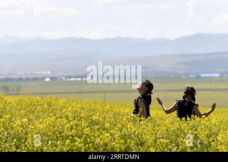 230719 -- ZHAOSU, le 19 juillet 2023 -- les enfants s'amusent dans un champ de fleurs de cole dans le comté de Zhaosu, préfecture autonome Kazak d'Ili, région autonome ouïgour du Xinjiang du nord-ouest de la Chine, le 18 juillet 2023. Avec des ressources touristiques abondantes, le comté de Zhaosu est entré dans la saison touristique de pointe en été. CHINE-XINJIANG-ZHAOSU-SUMMER-TOURISME CN ZHAOXGE PUBLICATIONXNOTXINXCHN Banque D'Images